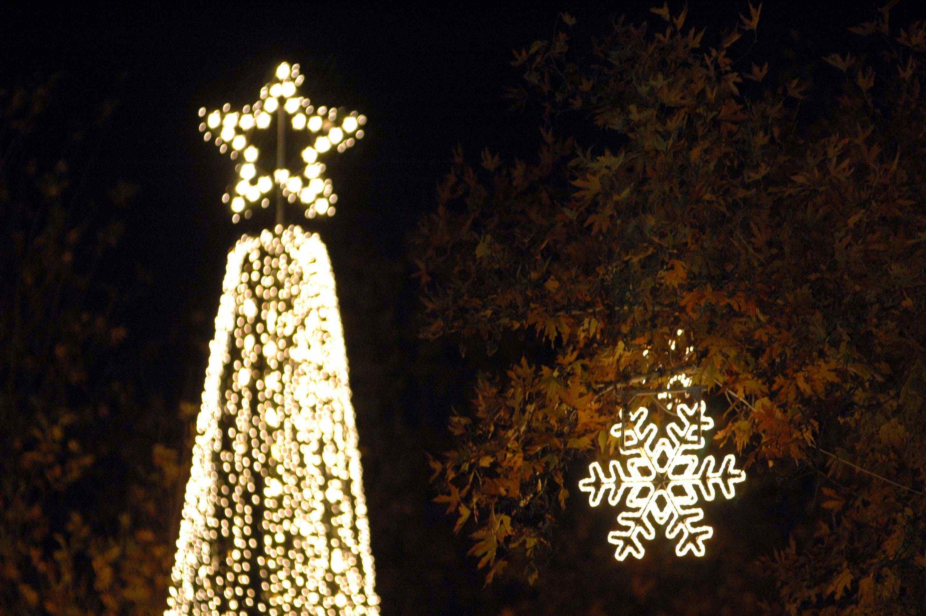 Ηράκλειο: Φωταγώγηση του χριστουγεννιάτικου δέντρου με Θεοδωρίδου και Μαρτάκη