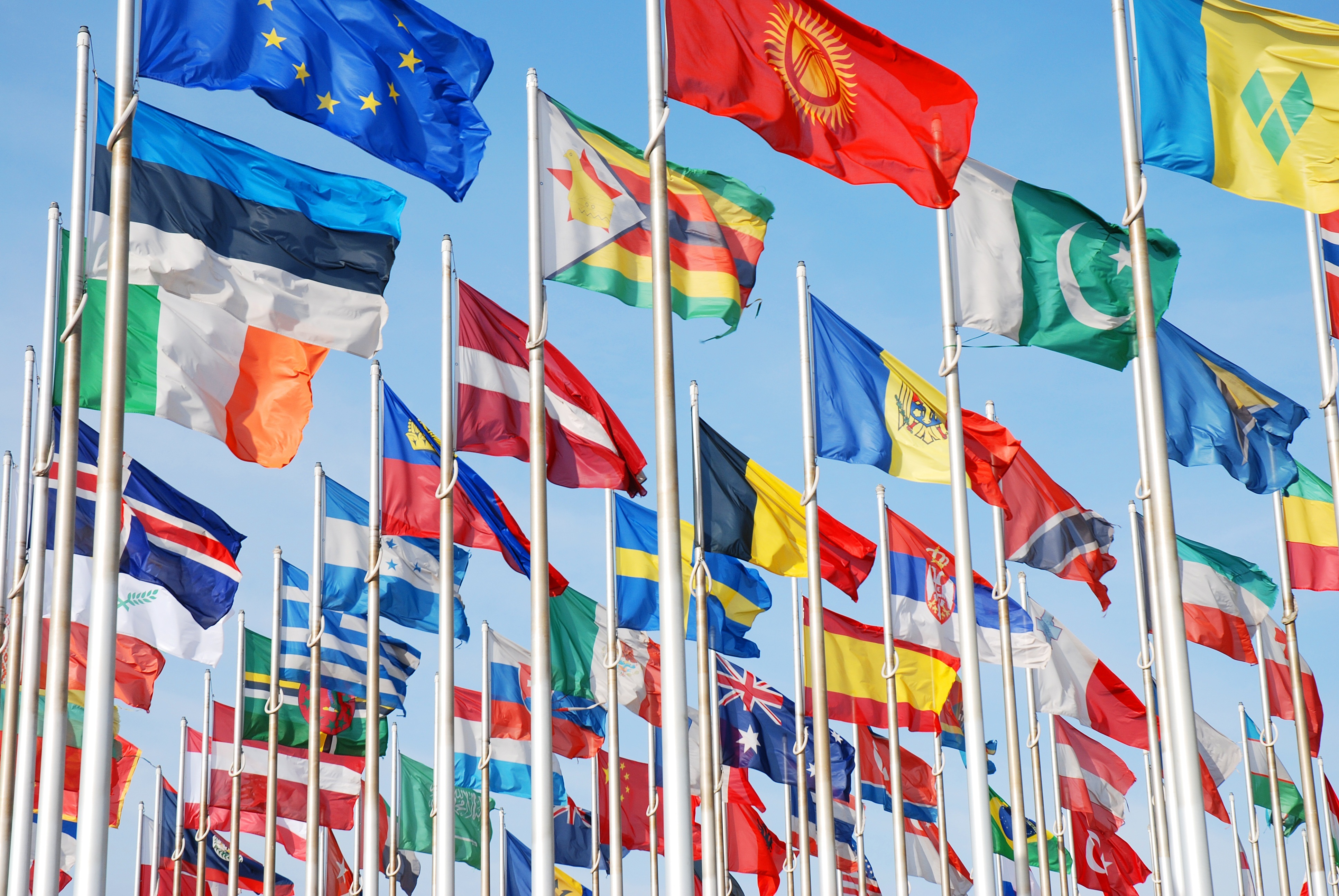 Первое международное сотрудничество. Международный флаг. Организация экономического сотрудничества и развития. Мировое сообщество государств.