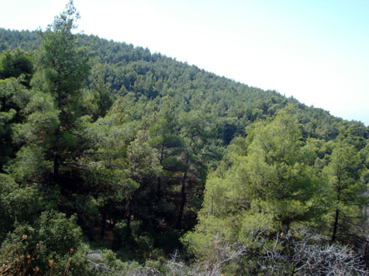 Καμπανάκι για τον Υμηττό