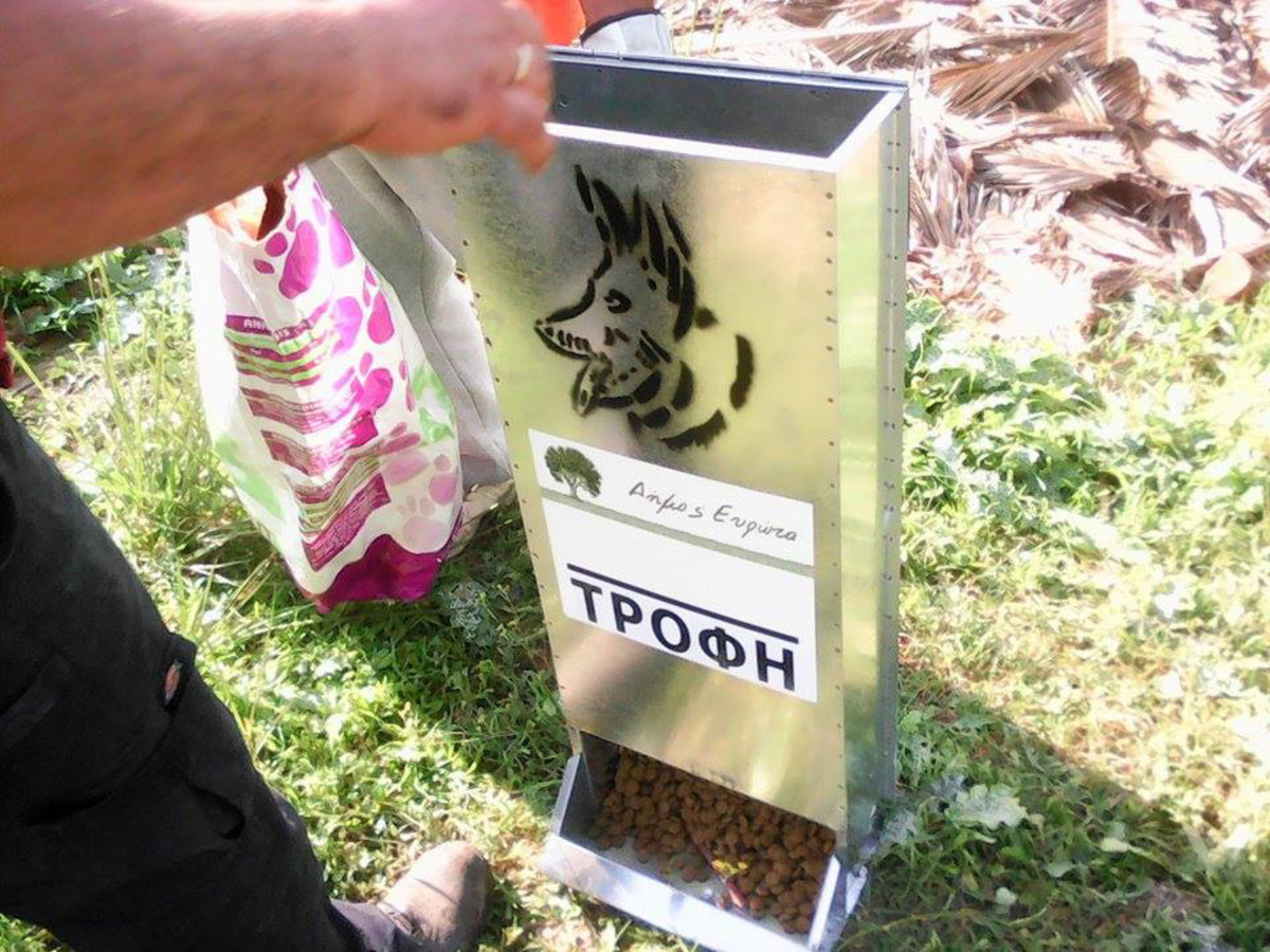 ΦΩΤΟ ΑΠΕ-ΜΠΕ