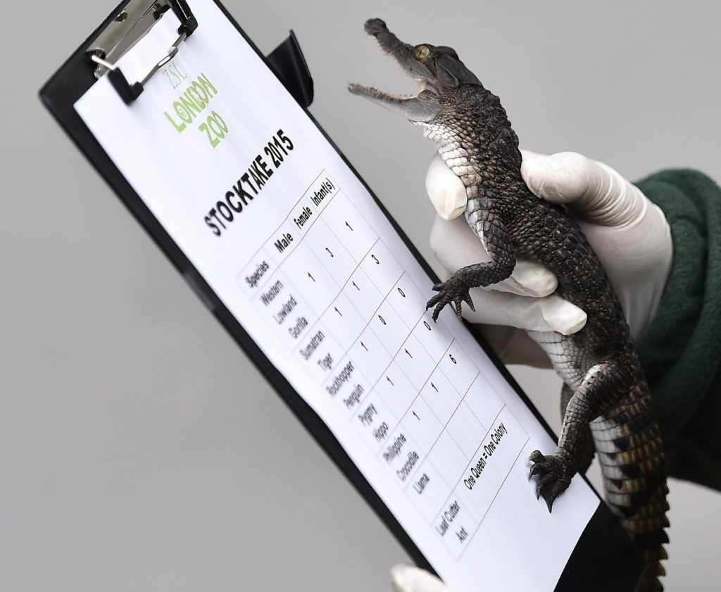 Φωτό - Reuters