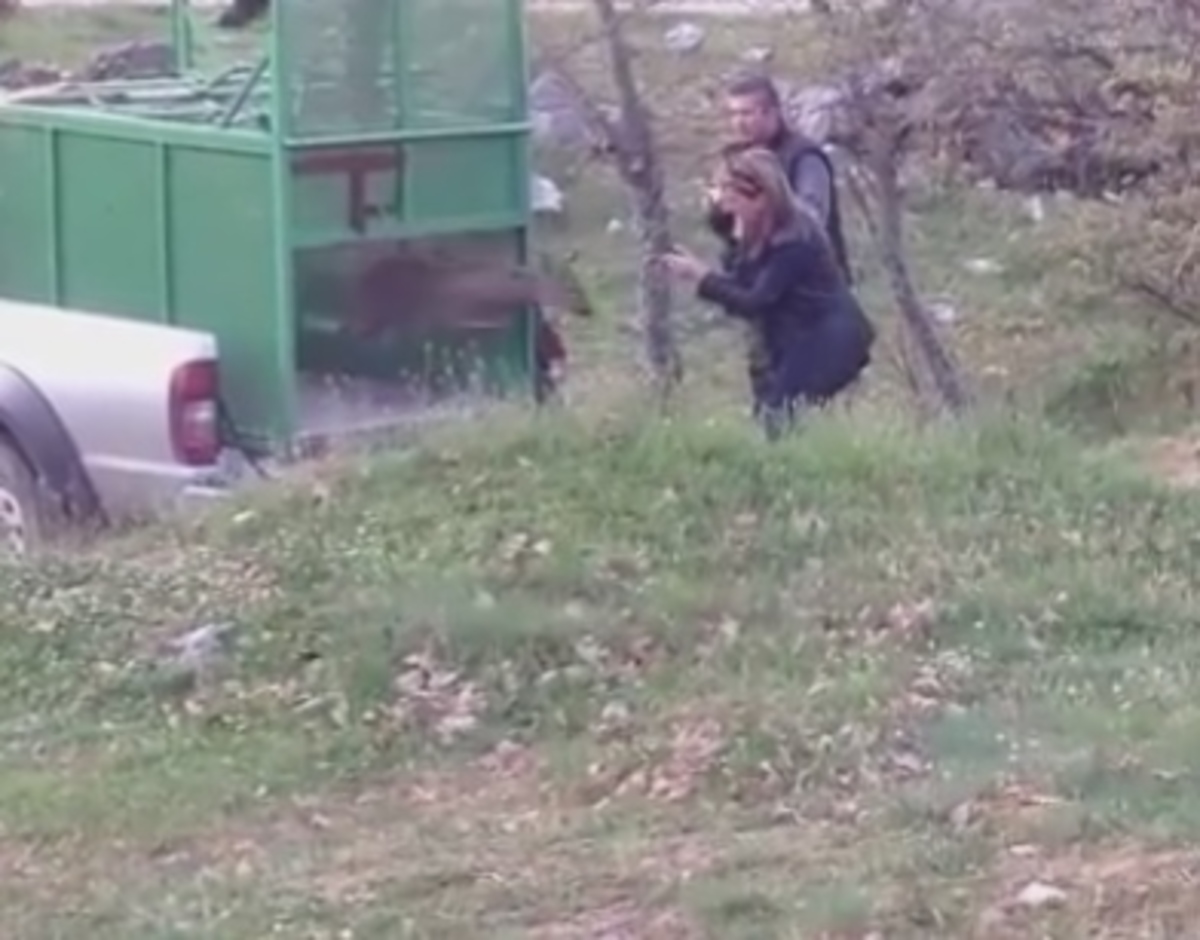 ΦΩΤΟ από seleo.gr