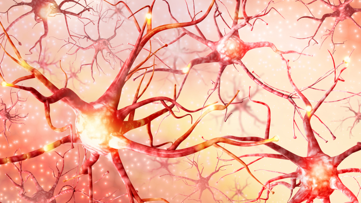 Δεν παθαίνει μόνο ο άνθρωπος Αλτσχάιμερ – Ποιο ζώο μπορεί να είναι επίσης «ευάλωτο»