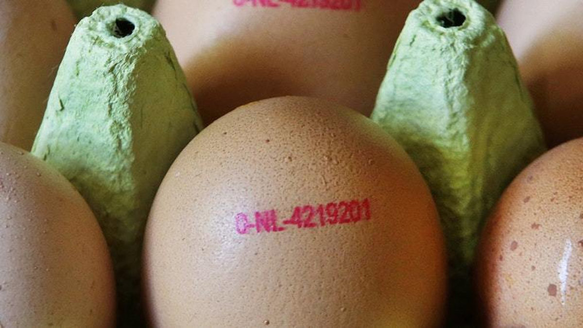Μολυσμένα αυγά στην Ευρώπη: Τι πρέπει να ξέρετε – Οι κωδικοί στις σφραγίδες των επικίνδυνων παρτίδων [vids]