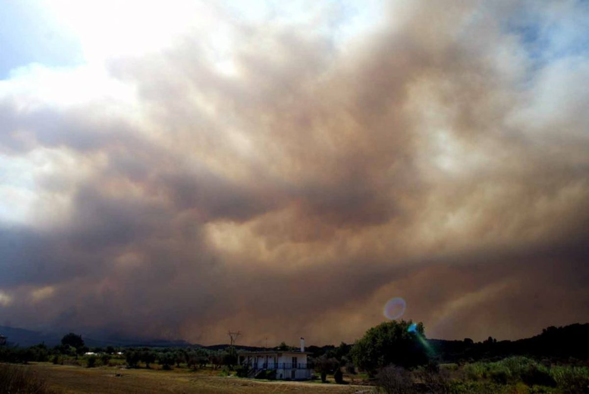 Ζαχάρω Ηλείας: Μεγάλη φωτιά στα Ροδινά – Εγκλωβίστηκε πυροσβεστικό όχημα – Καίγεται δάσος που έγινε στάχτη το 2007!