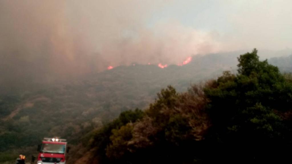 Φωτιά τώρα στο Μολύκρειο Ναυπακτίας – Αυξάνονται οι πυροσβεστικές δυνάμεις [pics]