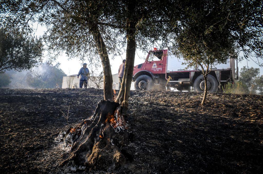 Φωτιά στην Αττική: Κλιμάκια της Περιφέρειας ξεκινούν αυτοψίες στους πληγέντες