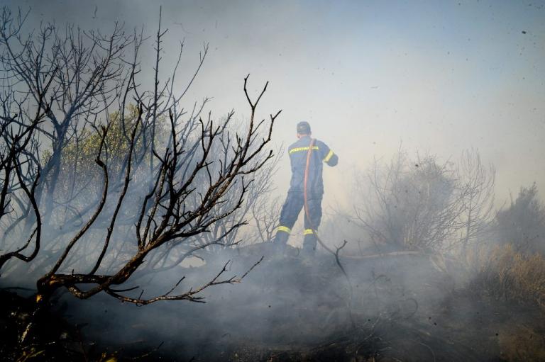 Ηλεία: Έσβησε η φωτιά – Σε επιφυλακή οι πυροσβέστες