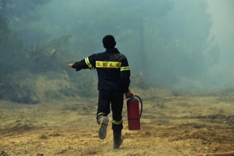 Κυπαρισσία: Φωτιά τώρα σε δάσος – Εξαιρετικά δύσκολο το έργο της κατάσβεσης!