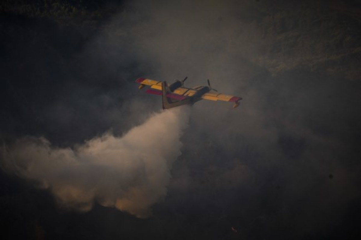 Φωτιά στα Ροδινά της Ζαχάρως: Απειλούνται σπίτια – Στις φλόγες αναγεννημένο δάσος – Οι μαρτυρίες κατοίκων [vids]