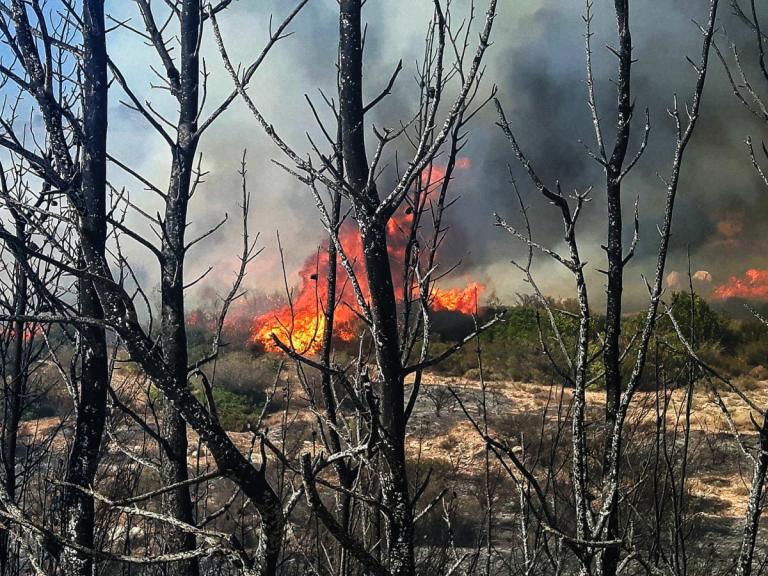 Φωτιά στην Κνωσό – Μάχη με τις φλόγες και τον άνεμο δίνουν οι πυροσβέστες