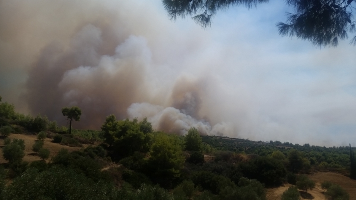Μεγάλη φωτιά στην Αμαλιάδα – Εκκενώθηκε το χωριό Ανάληψη [vid]