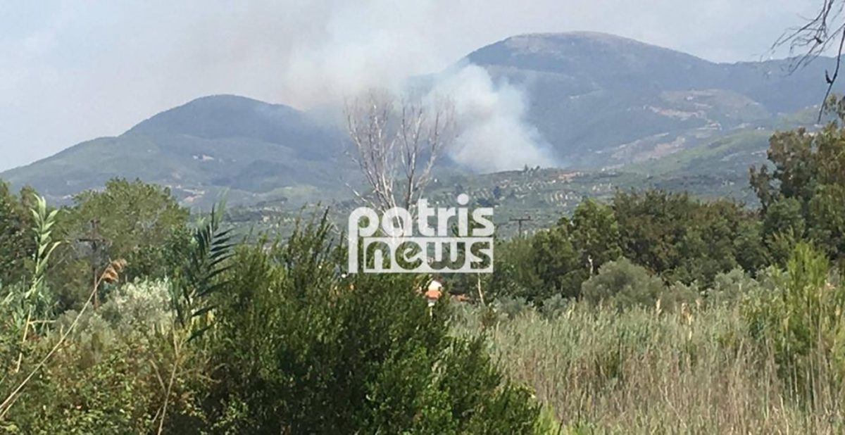 Ολονύχτια μάχη με τις φλόγες στα Ροδινά Ηλείας – Δεν απειλούνται κατοικημένες περιοχές [pics, vids]