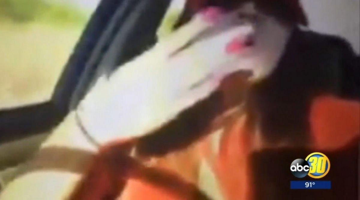Ανατριχιαστικό βίντεο! Σκότωσε τη 14χρονη αδερφή της σε τροχαίο – Μετέδιδε live στο Instagram! [vid]