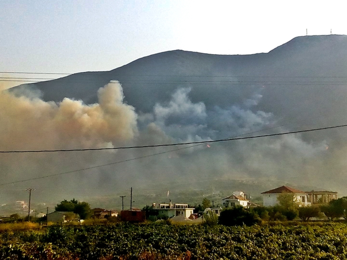 Φωτιά στη Ζάκυνθο: Νύχτα πύρινης κόλασης!