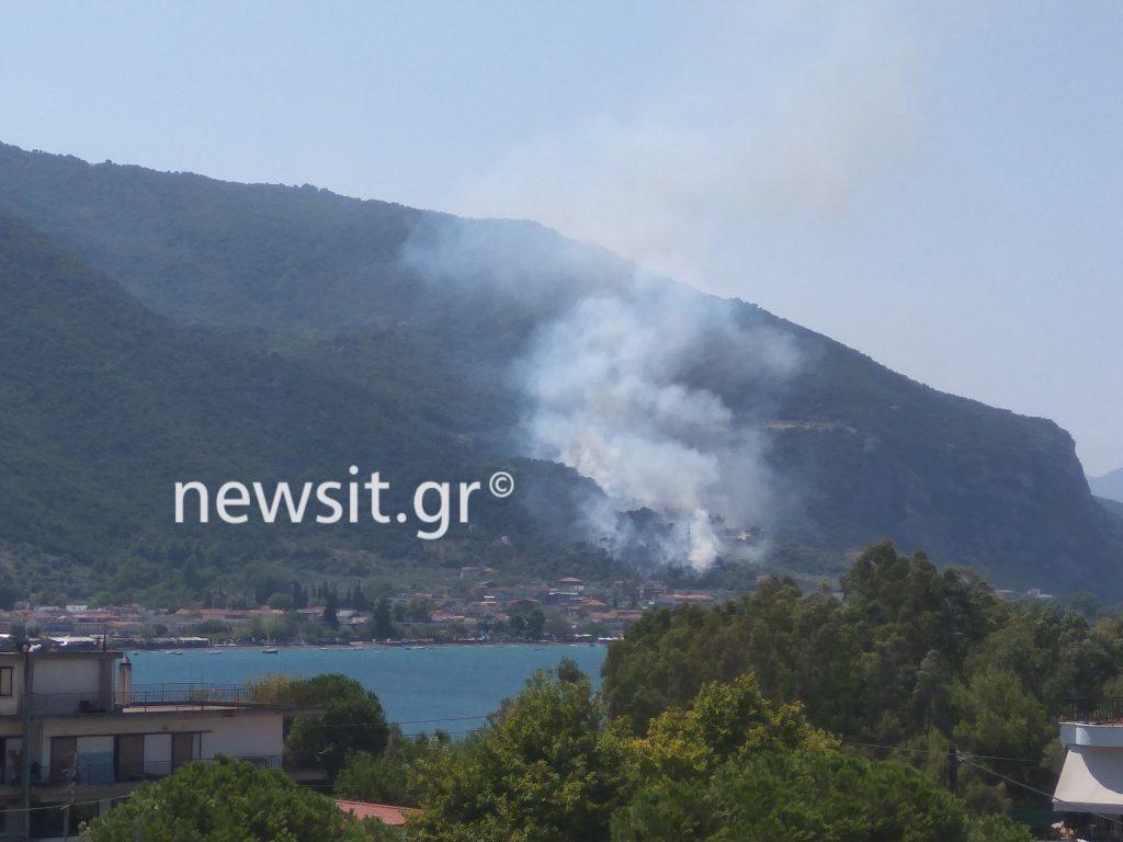 Μεγάλη φωτιά στα Καμένα Βούρλα [pics, vid]