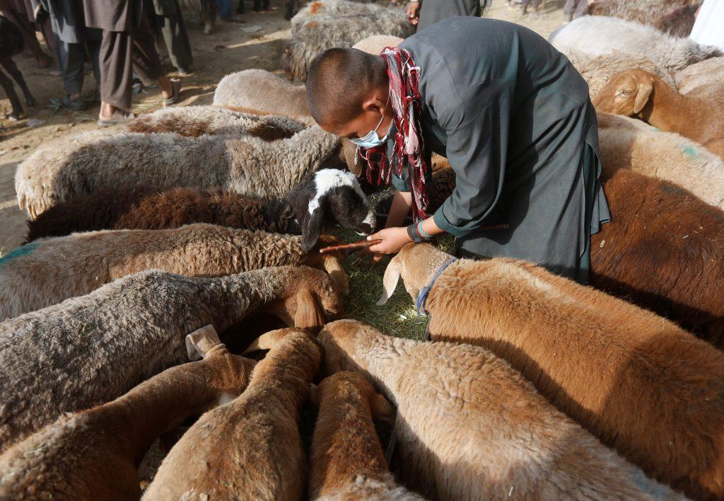 Στη σειρά… για τάισμα!