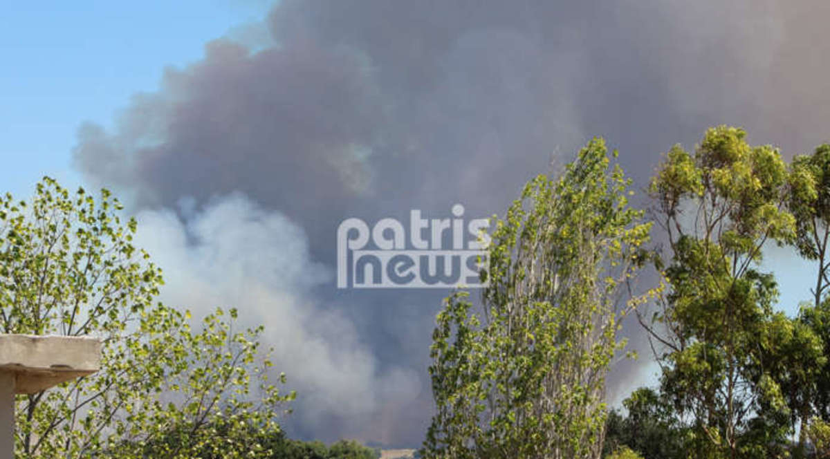 Φωτιές στον Πύργο: Σε εξέλιξη η πυρκαγιά στην Αμαλιάδα