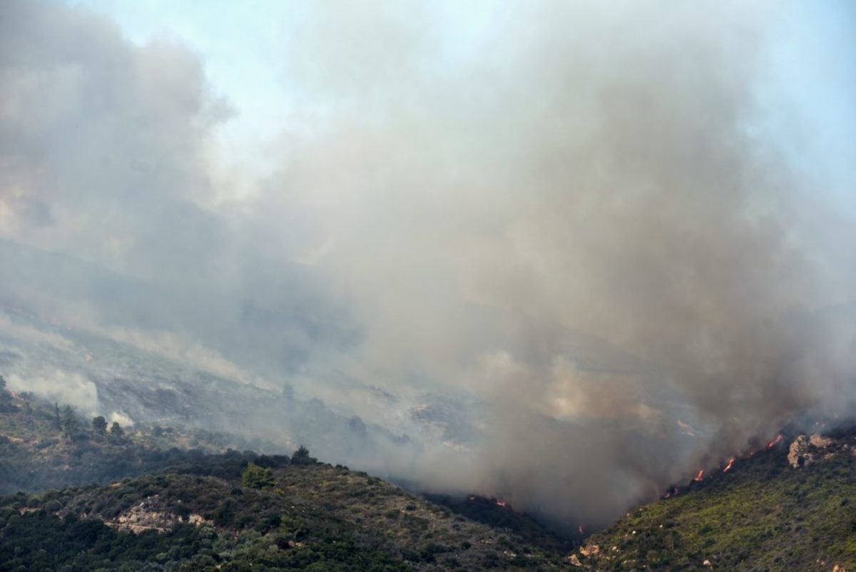 Φωτιά στην Αττική: Πόσα στρέμματα κάηκαν; Να κάνει η μάνα!