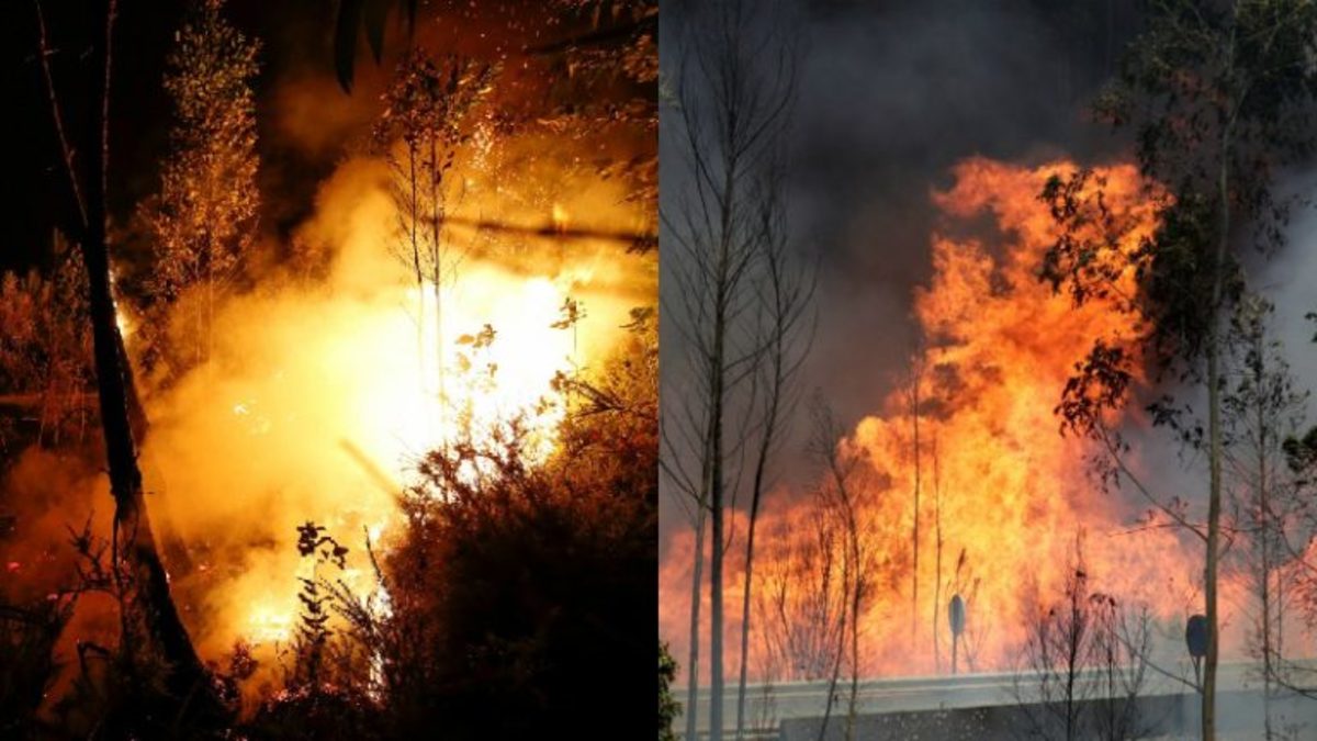 Πάνω από 65 πυρκαγιές μέσα σε μια μέρα
