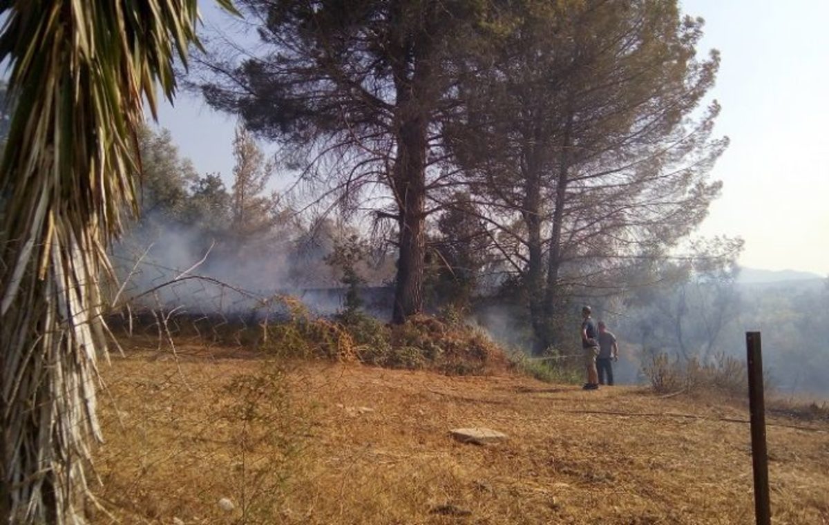 Κέρκυρα: Φωτιά στο θέρετρο Δαφνίλας