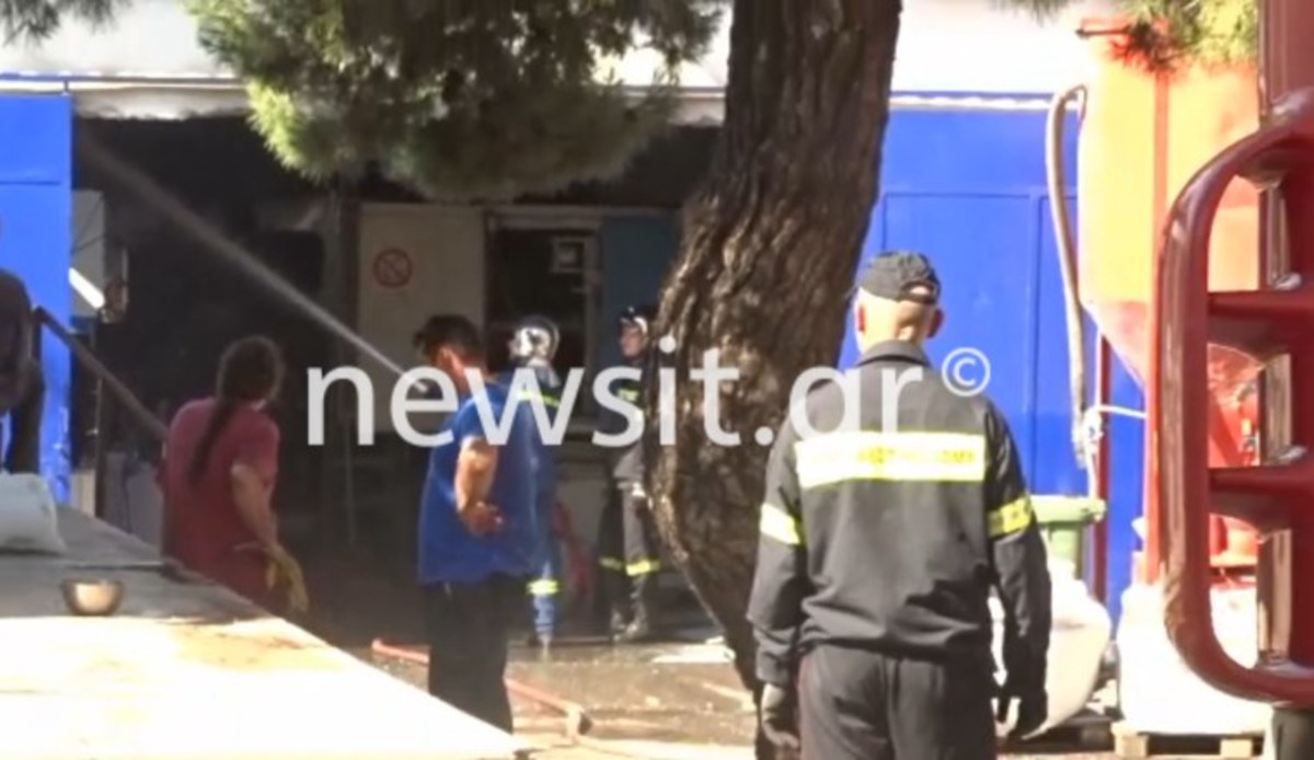 Φωτιά στα Οινόφυτα