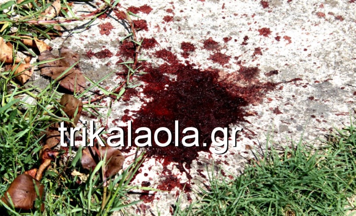 Αδελφοκτονία στα Τρίκαλα: Πήγαν περπατώντας σπίτι, στάζοντας αίμα! Σοκάρουν οι αποκαλύψεις