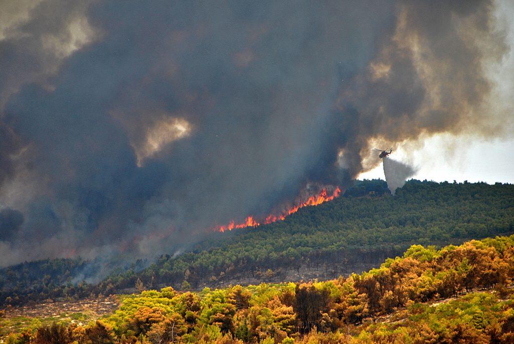 Φωτιά ΤΩΡΑ στο Μαρκόπουλο!