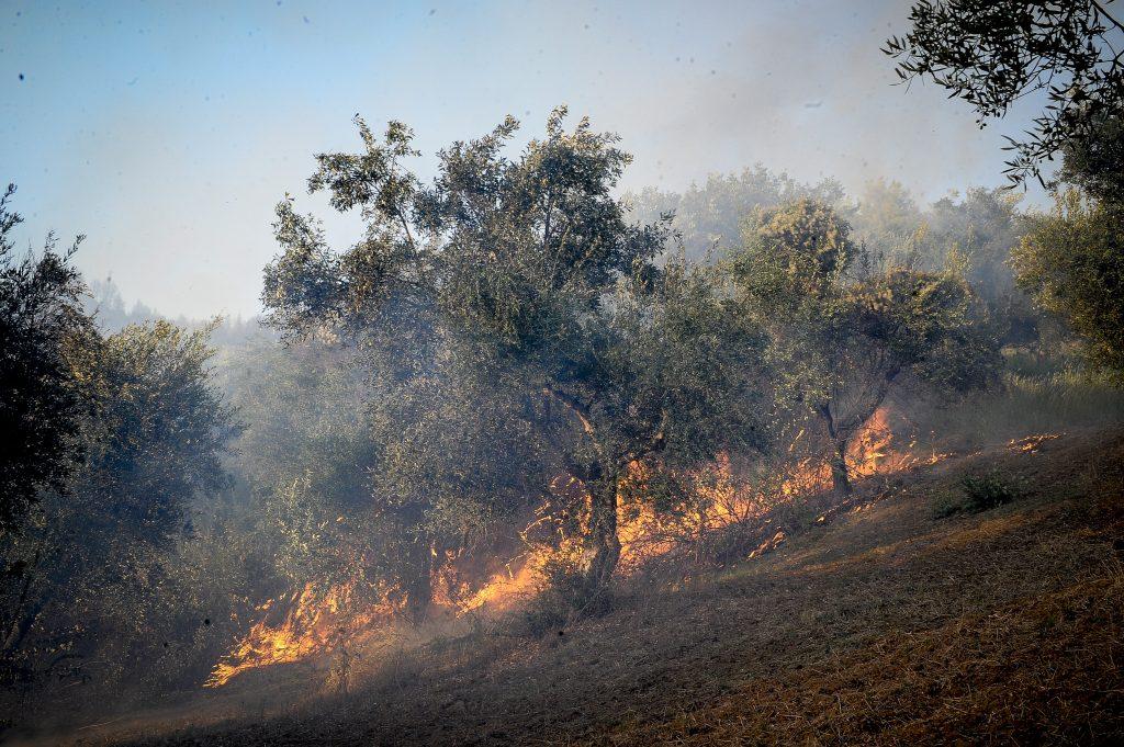 Αναζωπύρωση της φωτιάς στην Ηλεία – Κινδυνεύουν τρία χωριά