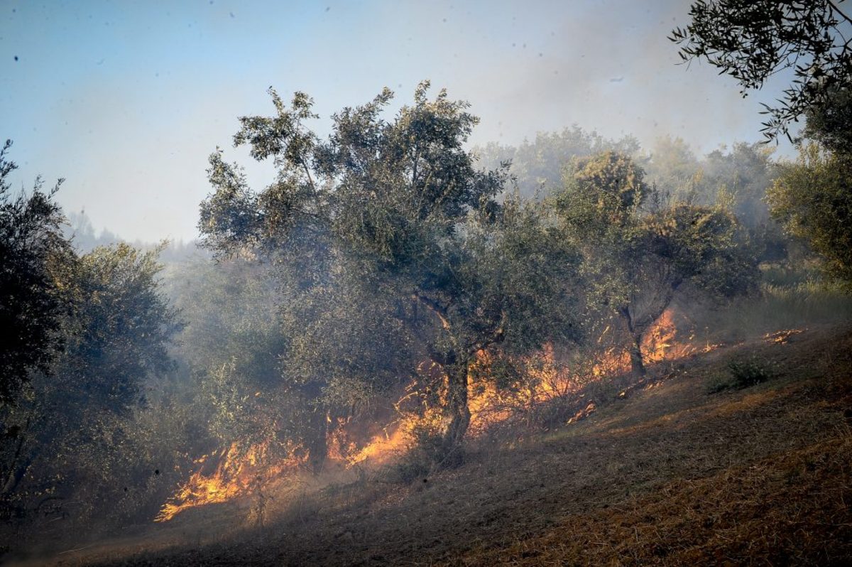 Αναζωπύρωση της φωτιάς στην Ηλεία – Κινδυνεύουν τρία χωριά