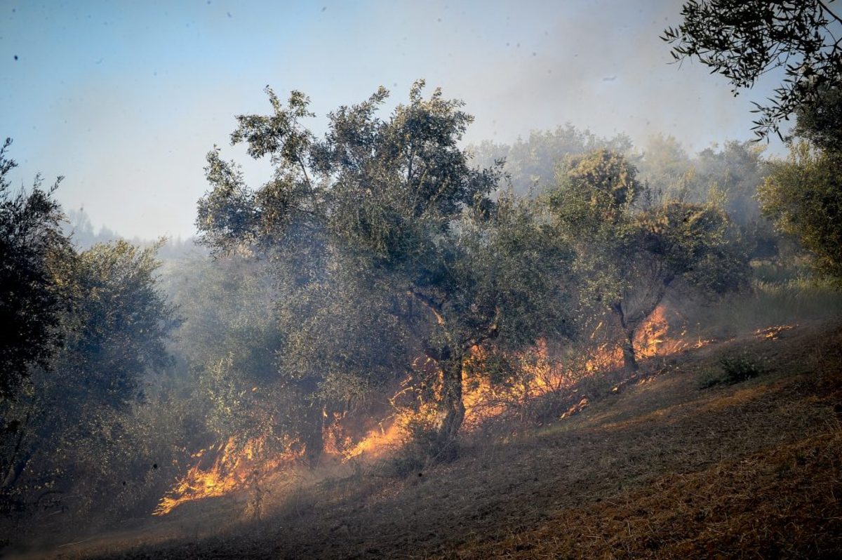 Φωτιά κοντά στην Πάτρα