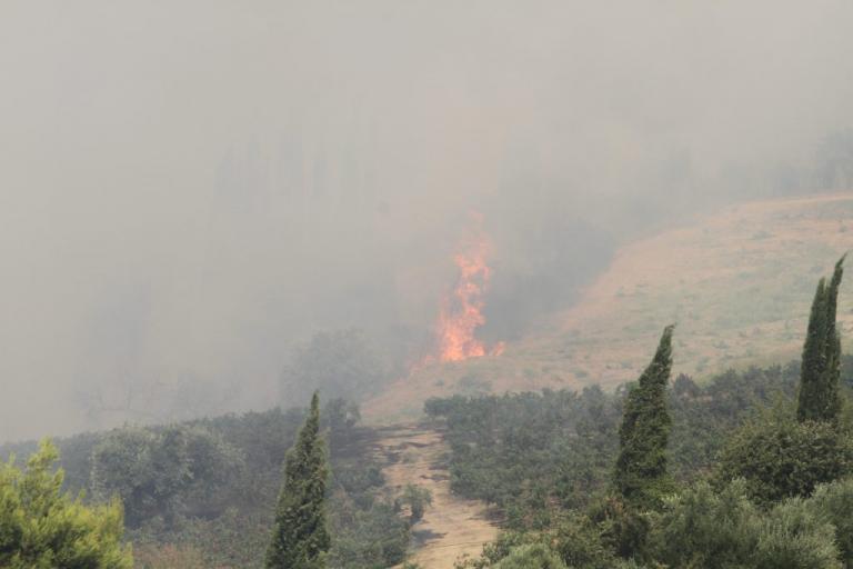 Φωτιά στην Ηλεία: Εντολή για εκκένωση του Περιστερίου – Αρνούνται οι κάτοικοι