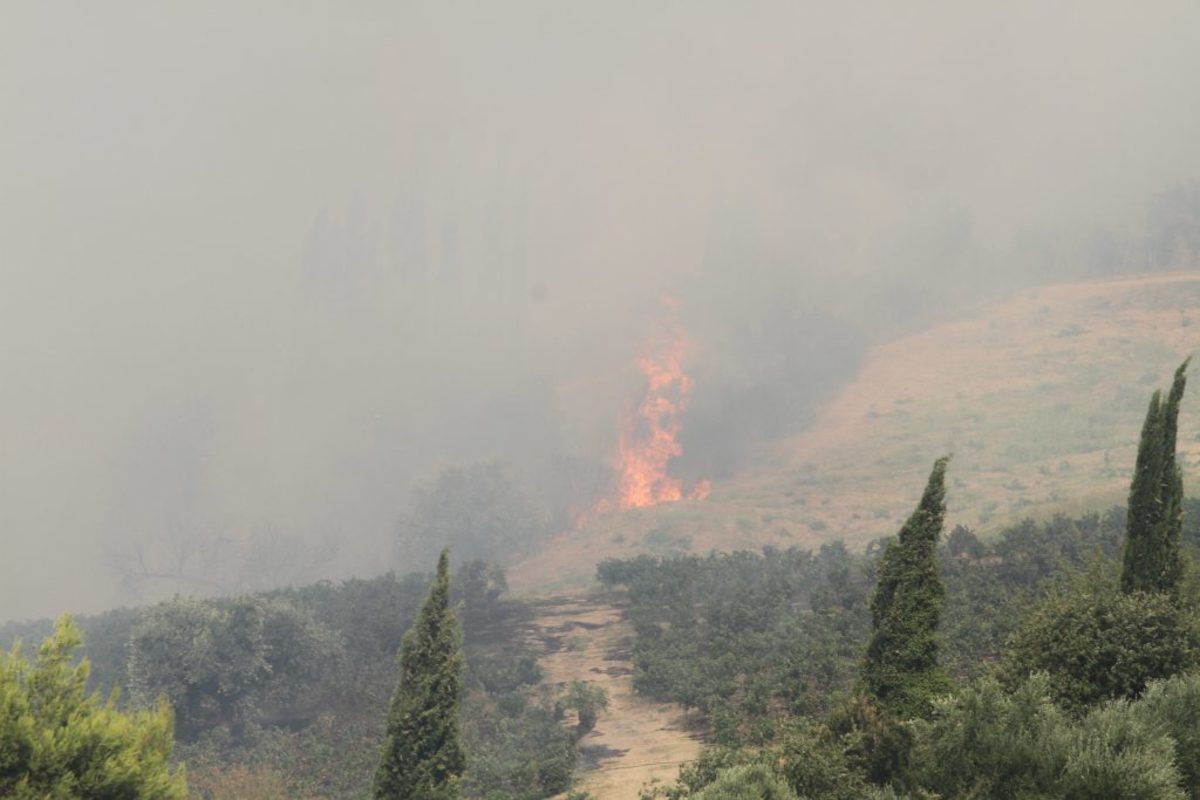 Φωτιά στην Ηλεία: Εντολή για εκκένωση του Περιστερίου – Αρνούνται οι κάτοικοι