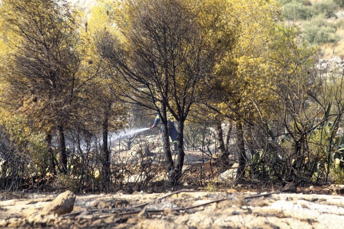 Σε εξέλιξη πυρκαγιά στο Ζέλι Φθιώτιδας