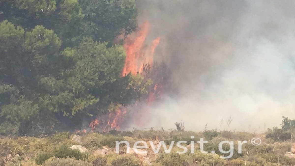 Φωτιά στην Αττική: Συγκλονιστικές εικόνες από τον πύρινο εφιάλτη