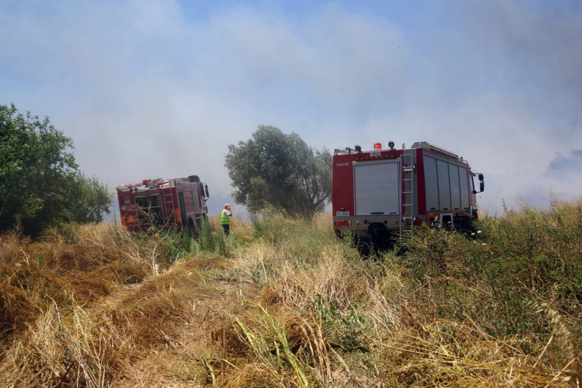 Υπό μερικό έλεγχο η φωτιά στο Στόμιο Ιεράπετρας