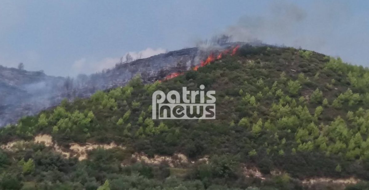 Μεγάλη φωτιά στην Ηλεία - Κινδύνευσε ηλικιωμένη