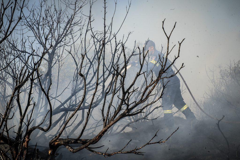 Φωτιές στην Αττική: Στημένα ρεπορτάζ καταγγέλει ο Πάνος Σκουρλέτης