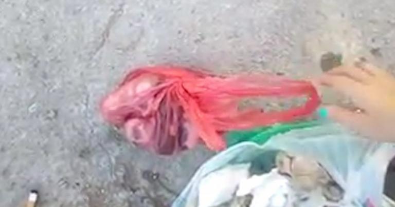 Χίος: Πέταξε 4 γατάκια ζωντανά στα σκουπίδια – Το βίντεο που προκαλεί αντιδράσεις