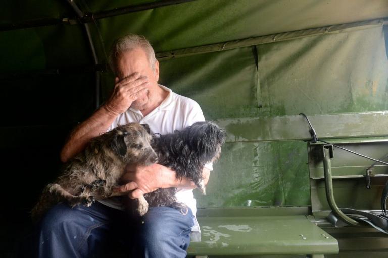 Χάρβεϊ: Τα άλλα θύματα του τυφώνα – Αμέτρητες εκκλήσεις για τη διάσωση ζώων [pics]