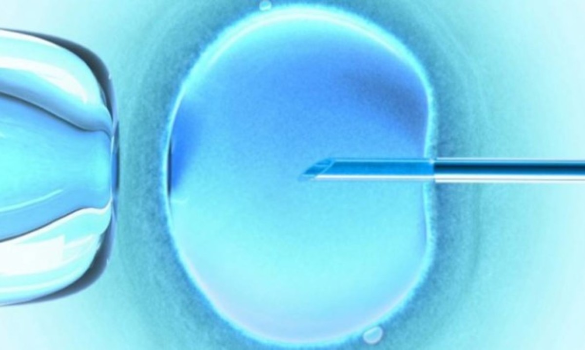 Το καλοκαίρι ευνοεί τις προσπάθειες εξωσωματικής γονιμοποίησης
