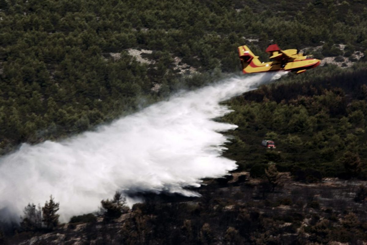 Φωτιά στην Αττική: Κάηκαν 39.000 στρέμματα σύμφωνα με το Εθνικό Αστεροσκοπείο!