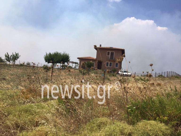 Φωτιές στην Αττική: Παραλίγο να καεί το σπίτι του Κουφοντίνα [pics]