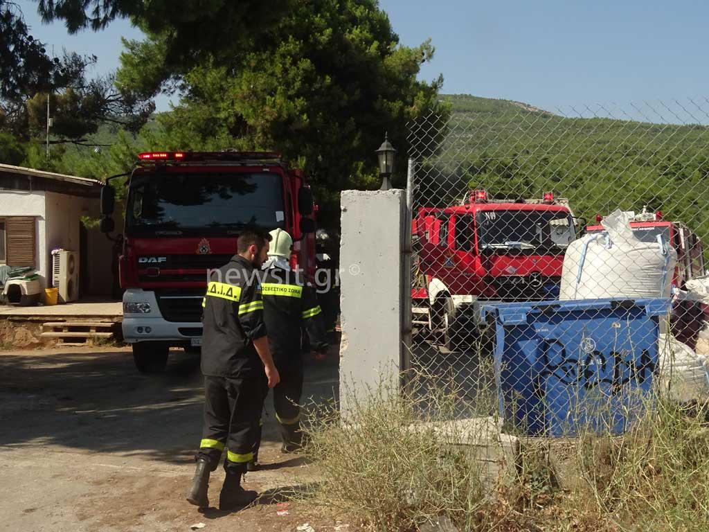 Χαροπαλεύει ο ένας τραυματίας από τη φωτιά στα Οινόφυτα [vid]