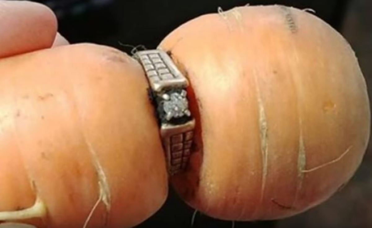 13 χρόνια μετά βρήκε το χαμένο δαχτυλίδι αρραβώνων της σε… καρότο