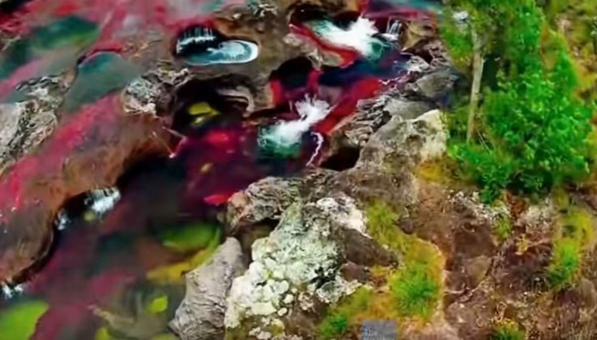 Το πολύχρωμο ποτάμι της Κολομβίας! Τι κάνει η φύση… [vid]