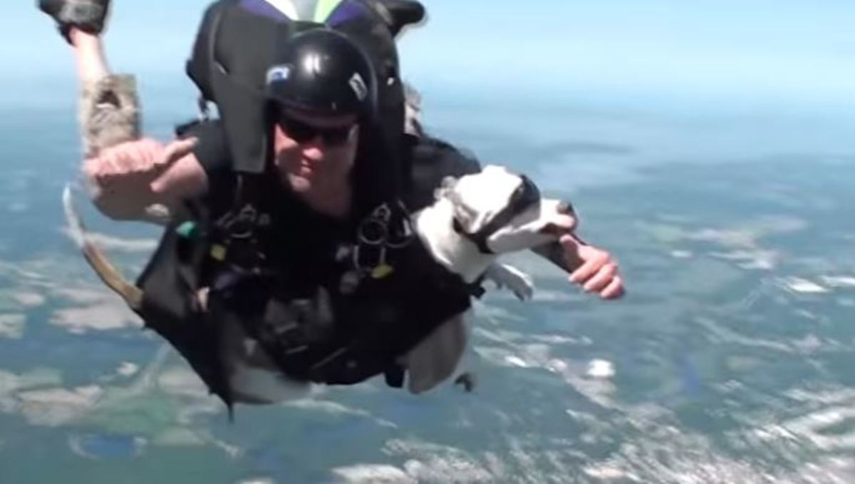 Κάνει skydiving με τον σκύλο του… [vid]