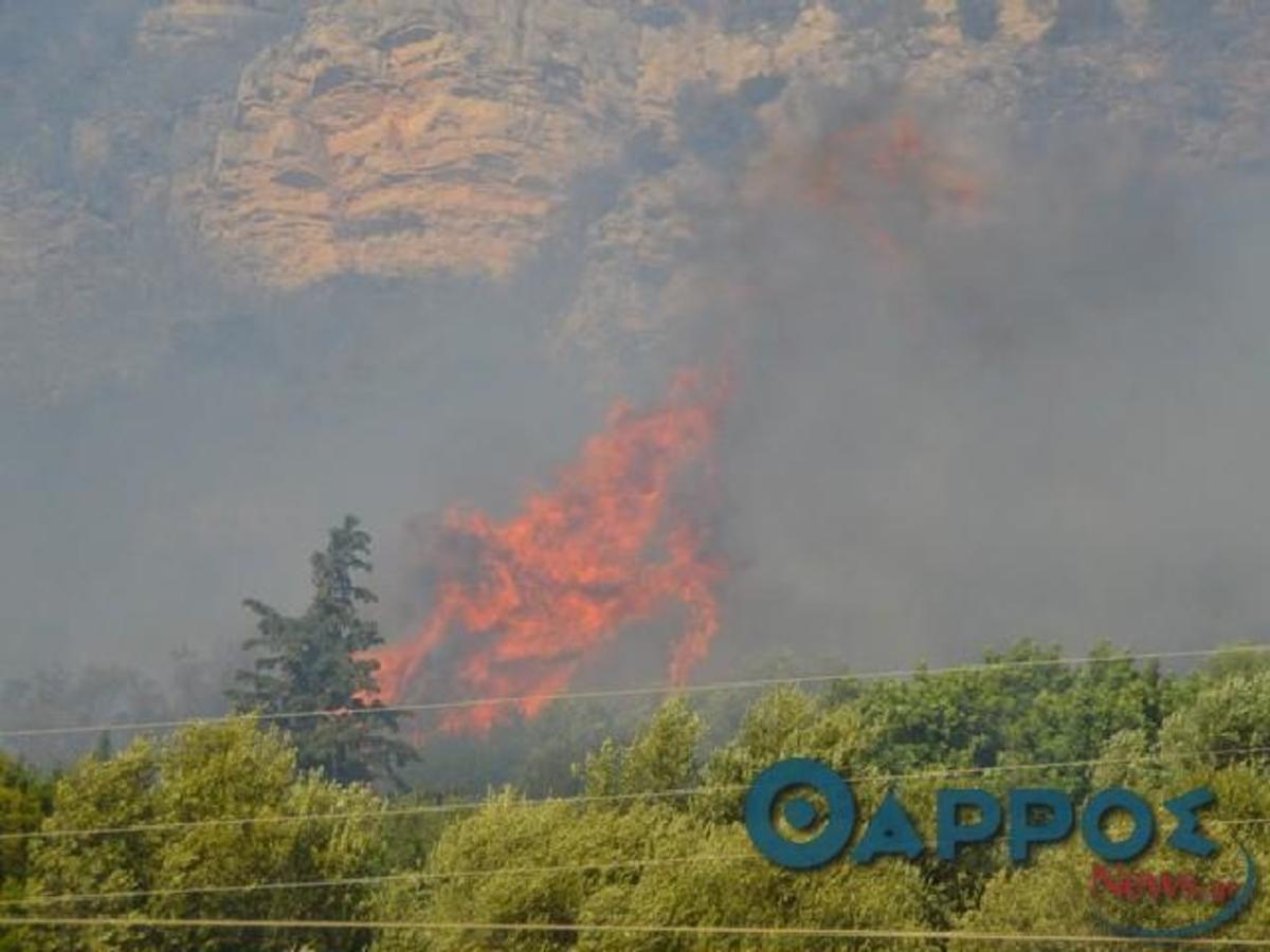 ΦΩΤΟ από tharrosnews