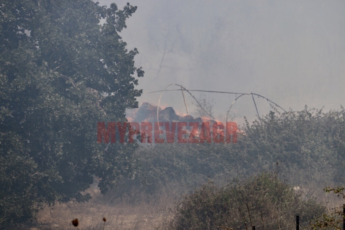 Φωτιά στην Πρέβεζα: Στάχτη εργοστάσιο και θερμοκήπια – Μάχη με τις φλόγες [vid]