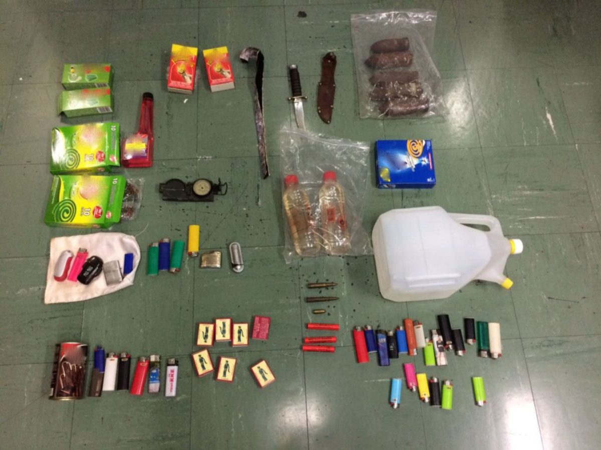 Υπάλληλος του υπ. Εργασίας ο 63χρονος ύποπτος για εμπρησμούς στην Πάρνηθα